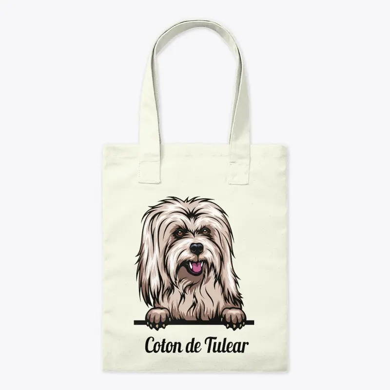 Coton de Tuléar