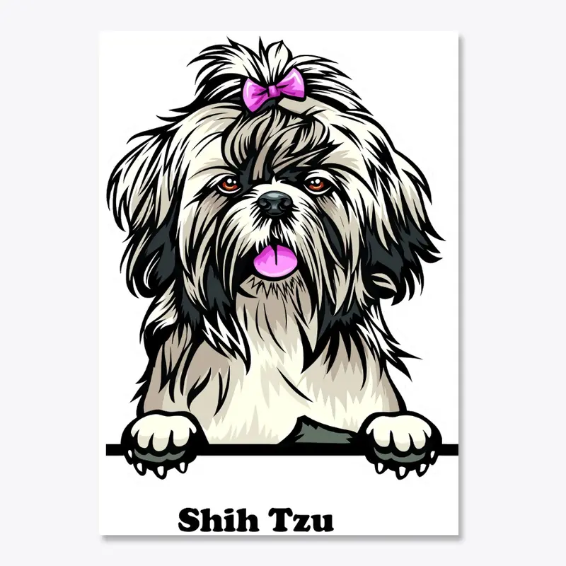 Shih Tzu