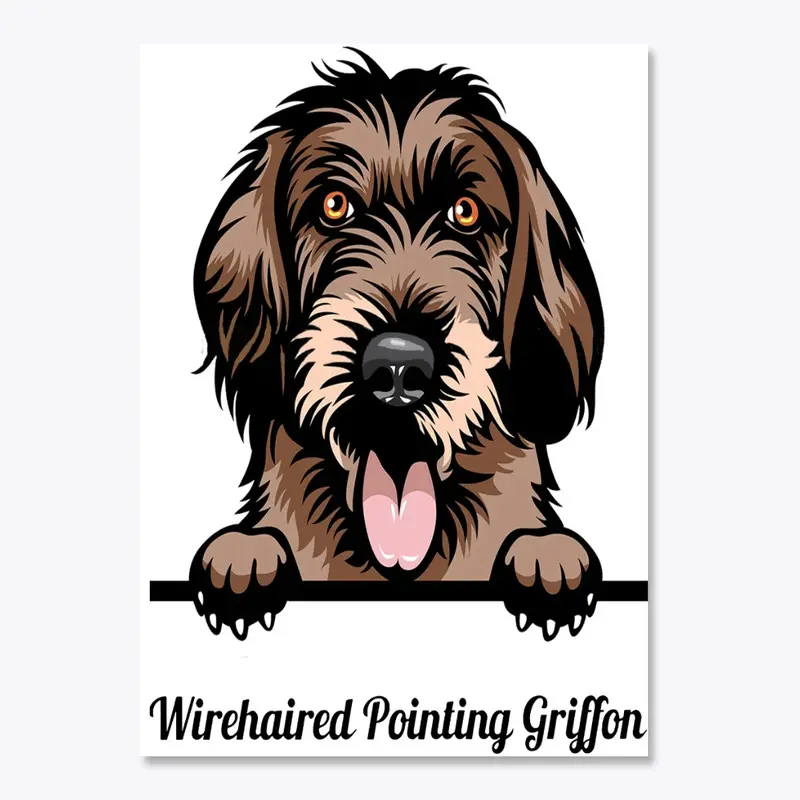 Wirehaired Pointing Griffon