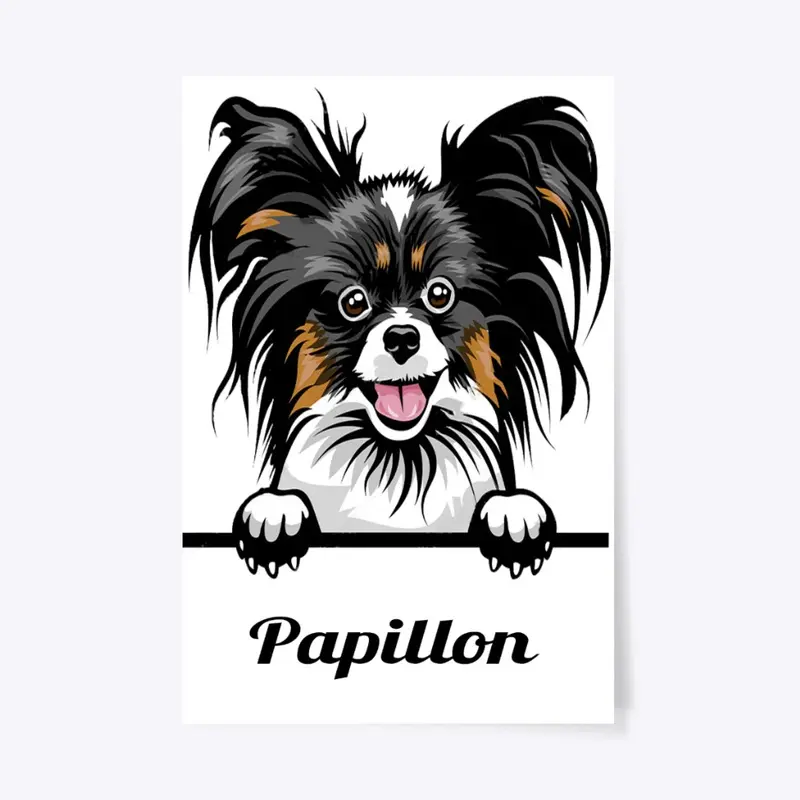 Papillon dog