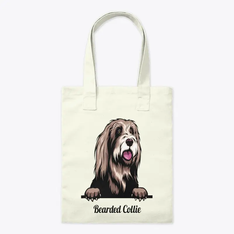 Bearded Collie