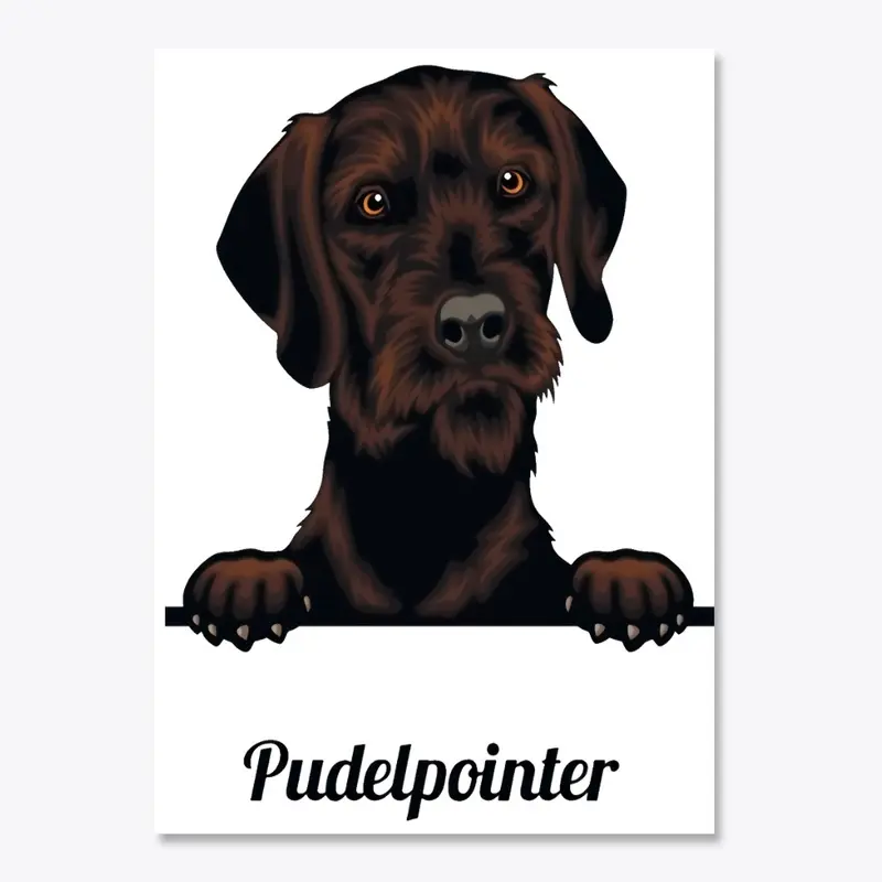 Pudelpointer