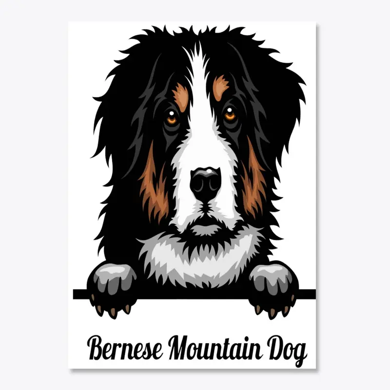 Bernese Mountain Dog