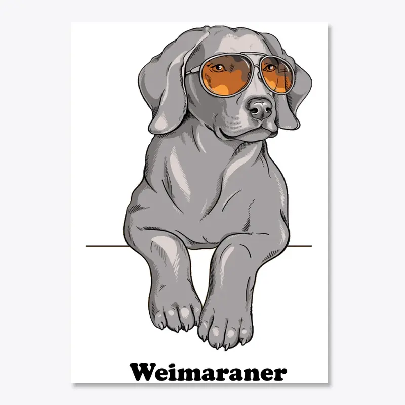 Weimaraner