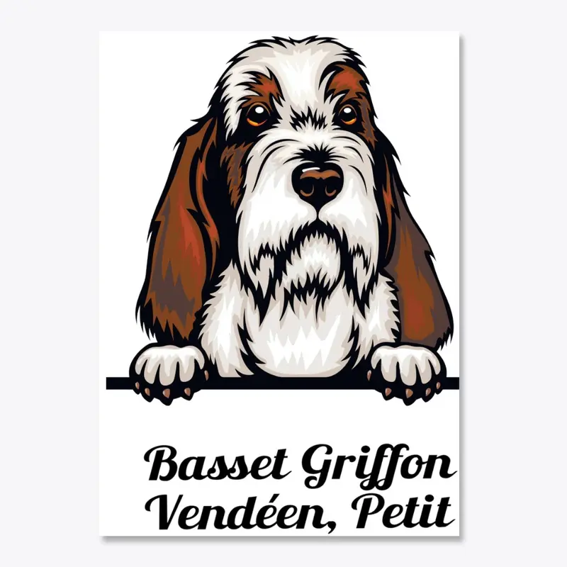  Basset Griffon Vendéen Petit