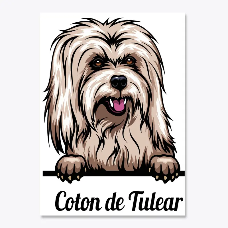 Coton de Tuléar