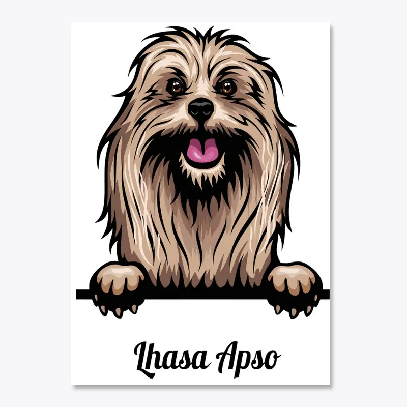 Lhassa Apso