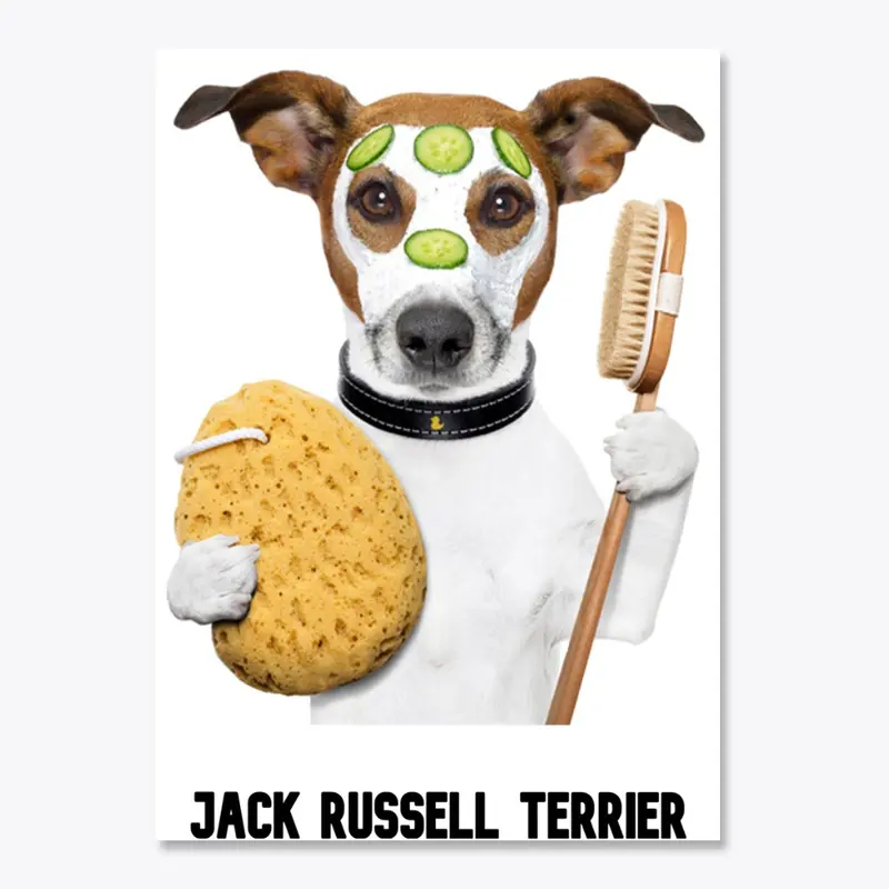 Jack Russell Terrier