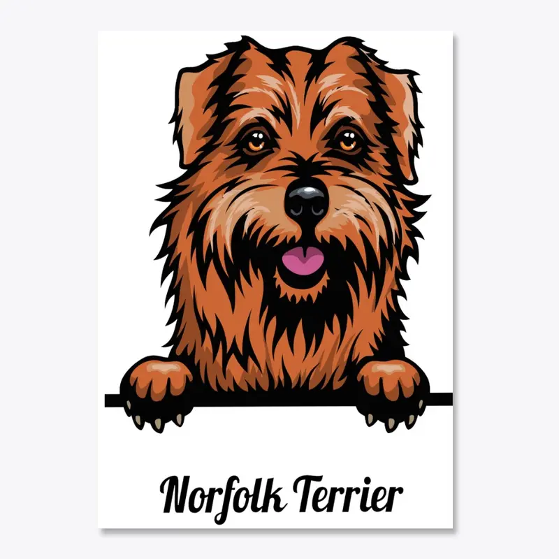 Norfolk Terrier