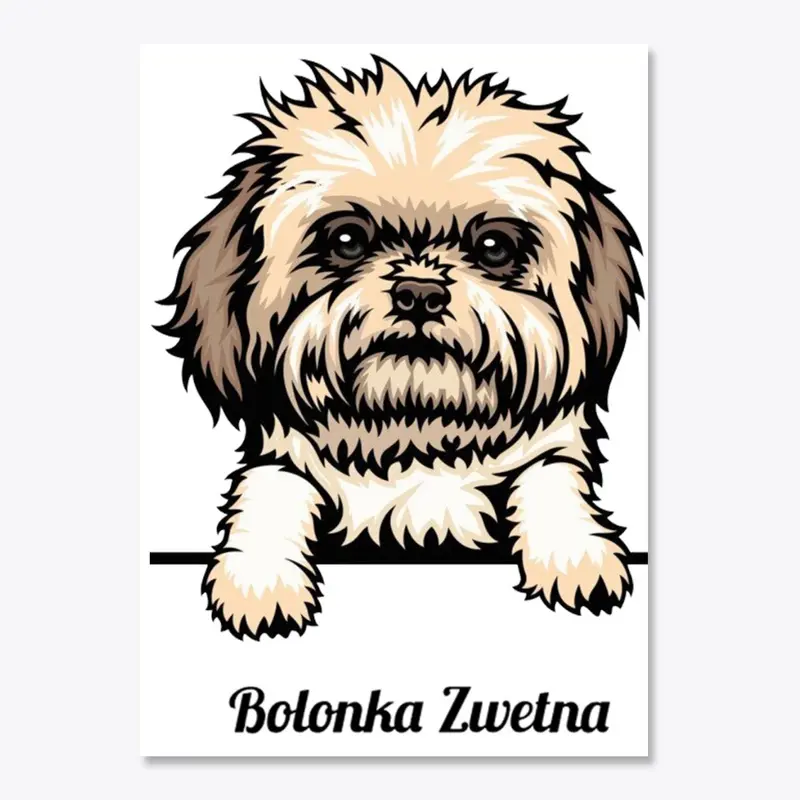 Bolonka Zwetna