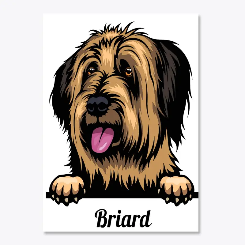 Briard 