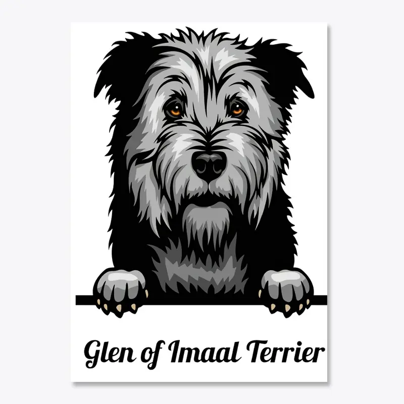 Glen of Imaal Terrier