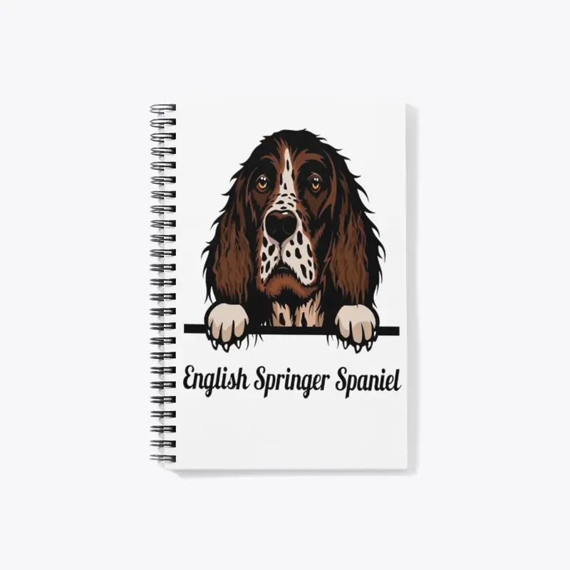 English Springer Spaniel 