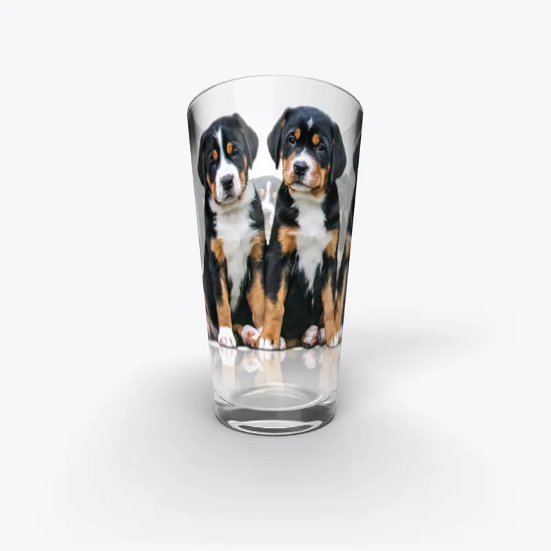 Entlebucher Mountain Dog - Sennenhund