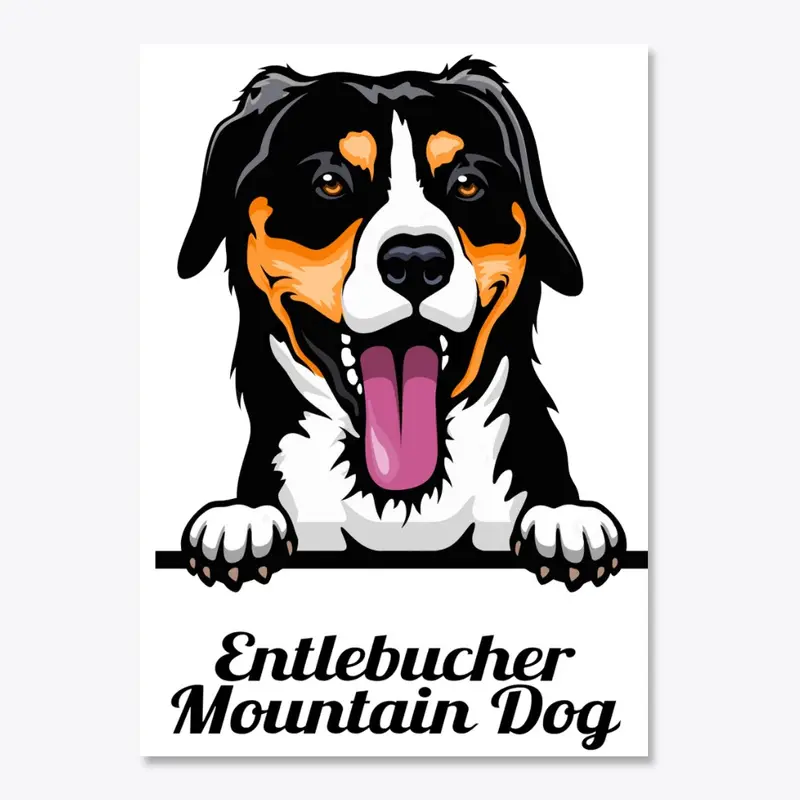 Entlebucher Mountain Dog